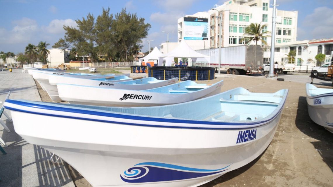 Inicia veda de camarón en el Golfo de México