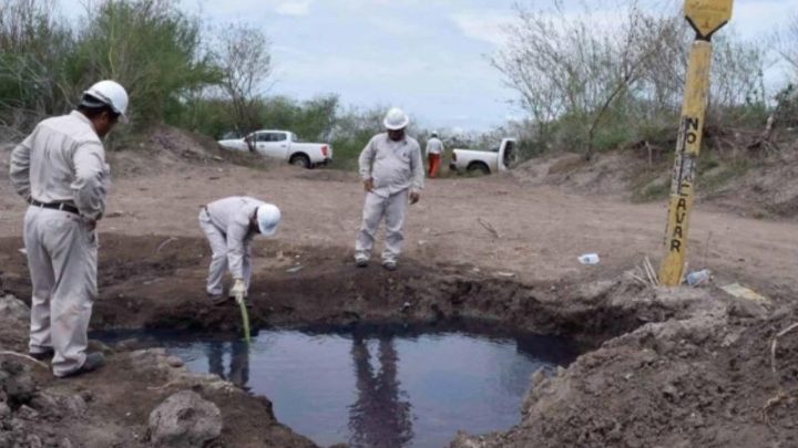 Veracruz, segundo lugar en huachigas