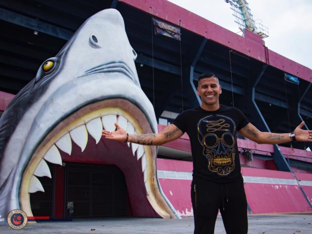 Veracruz, sin Tiburones