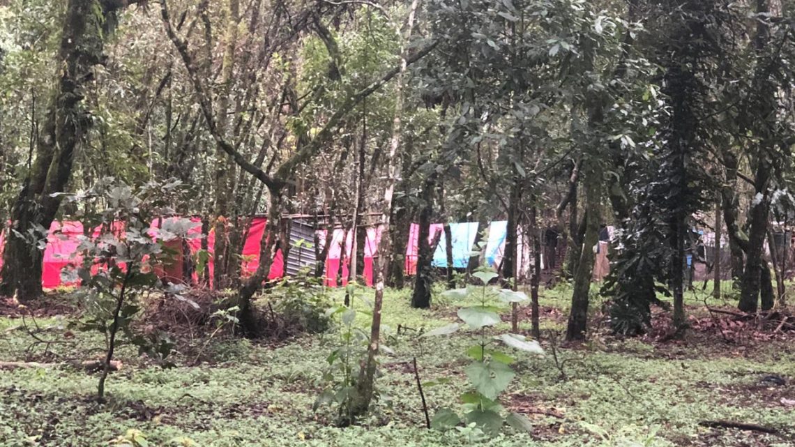 Castigan finalmente a invasores de Coatepec