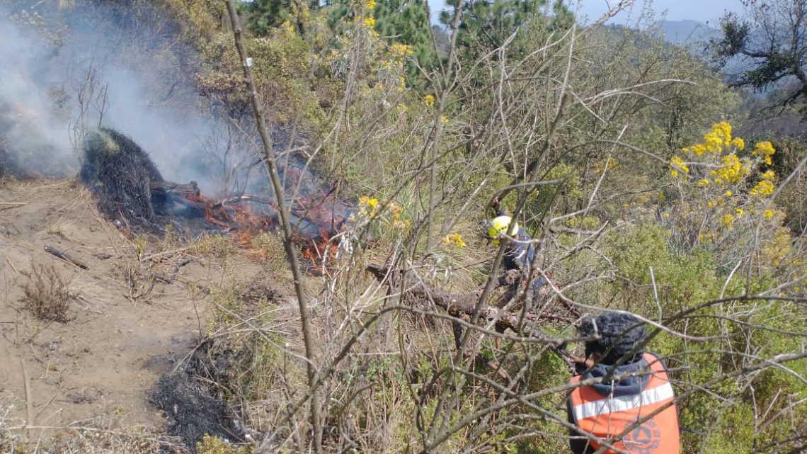 Tres incendios forestales activos