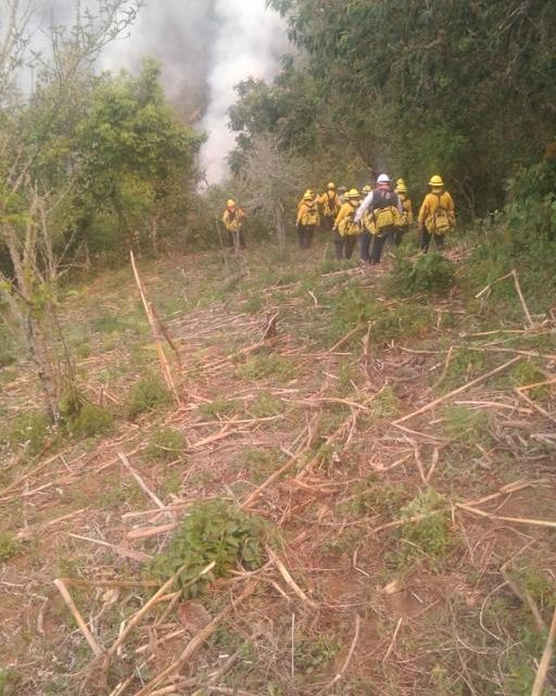 Tres incendios forestales activos