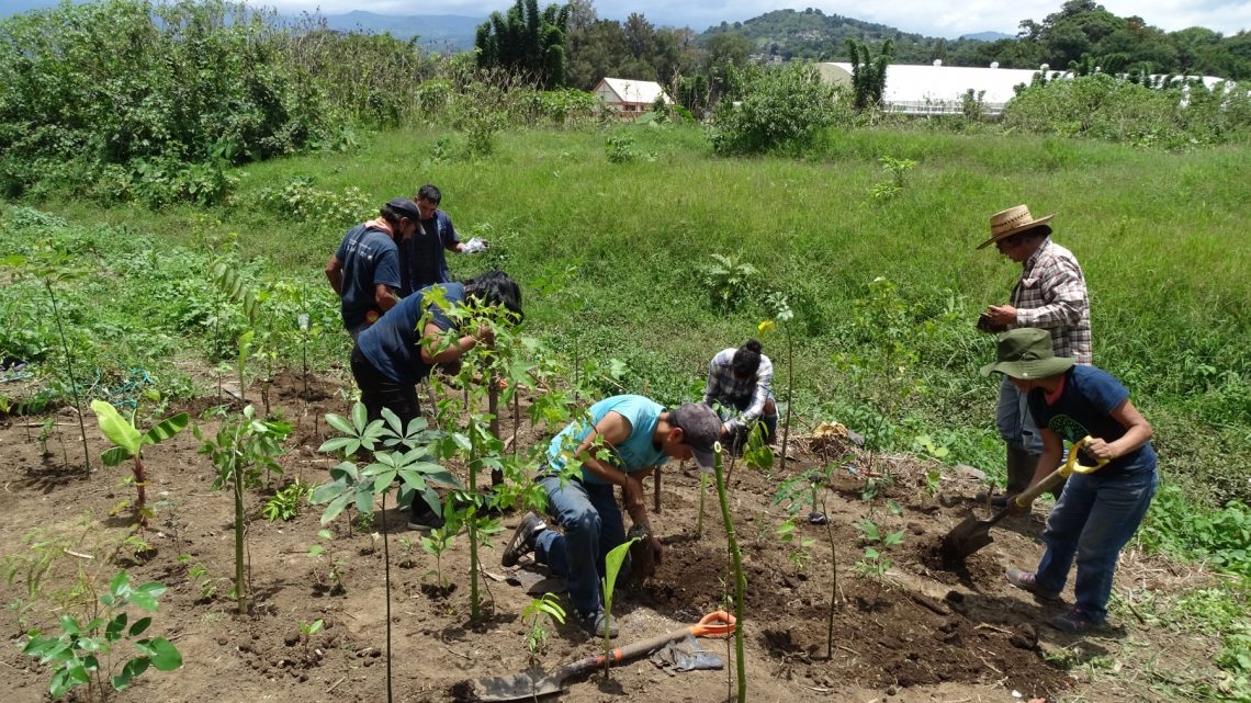 Xalapeños cuidan arroyo Papas-Carneros