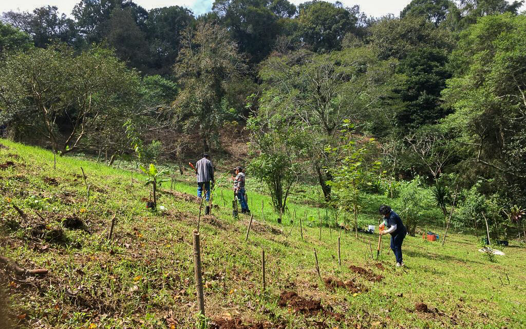 Tiempos difíciles para defensores de la tierra