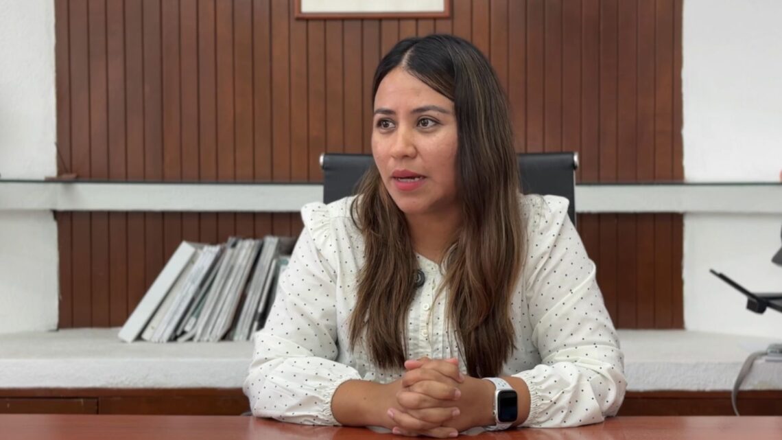 Puerto de Veracruz, sin contratar nueva deuda