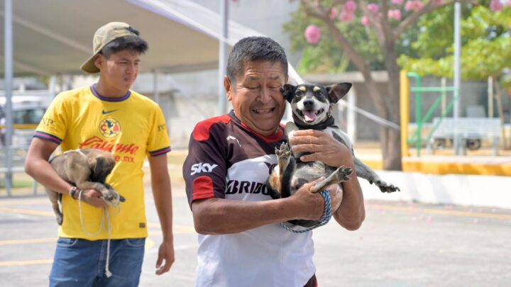 Veracruz con vacunación antirrábica