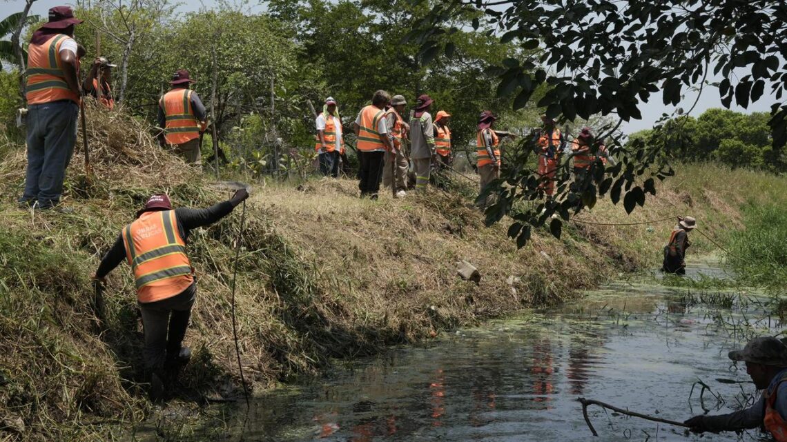 Veracruz: trabajos de limpieza y desazolve
